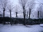 Foto5.JPG