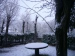 Foto6.JPG