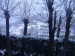 Foto8.JPG