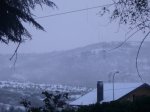 Foto9.JPG