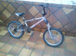 DSC00376.jpg