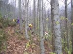 Guilleries 2005 029_500x375.jpg