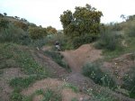 DSCF0141.jpg