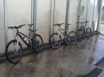 Bicis.JPG