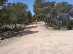 DSC00575.jpg