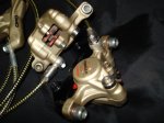 DSC08674.JPG