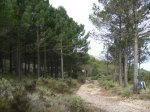 Imagen 012.jpg