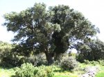 Imagen 030.jpg