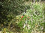 Imagen 059.jpg