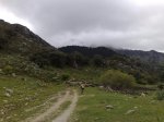 11042009270.jpg