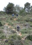 buÃ±ol16.jpg