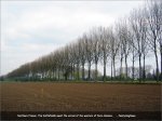 rbx04-mudfield[1].jpg