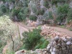 DSCN7129.jpg