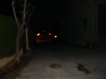 DSC03598.JPG