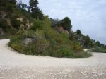DSC03635.JPG