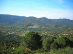 salida-jueves-santo-3.gif