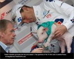 trobroleon08-pig[1].jpg