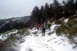 wDSC03460.jpg