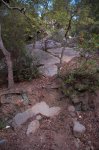 salidalosa.jpg