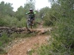 DSC00450.jpg