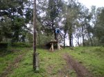 trencadur 12 -4-2009 005.jpg