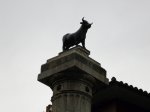 P1010376.JPG