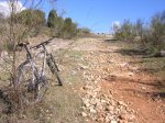 DSCN6719.jpg