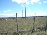 DSC01672.JPG