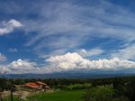 IMG_7775.jpg