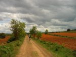 IMG_7784.jpg