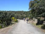 DSCN6745.jpg