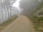 10042009539.jpg