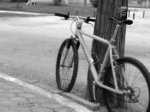 IMG00072-20090412-1516.jpg