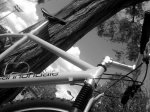 IMG00079-20090412-1656.jpg