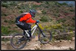 IMG_3202 copia.jpg