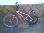 DSC00464.jpg