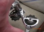 DSCN5547.JPG
