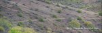 Panorama 4.JPG