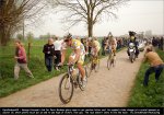 rbx09-hincapie[1].jpg