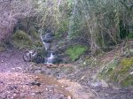 Imagen007.jpg