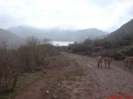 DSC00986.jpg