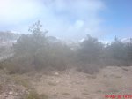 DSC00995.jpg