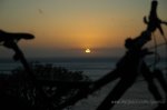 DSC_2666.jpg