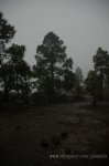 DSC_2494.jpg