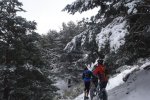 xt 040.jpg