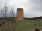DSC00258.jpg