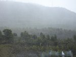 DSC00266.jpg