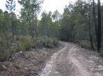 DSC00283.jpg