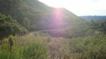 DSC02401.jpg