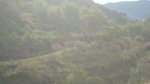 DSC02405.jpg